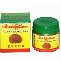Lingzhi Reishi Organic Analgesic Balm With Natural Herbs & Shiny Ganoderm Mushroom