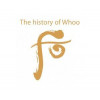 The History of Who