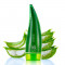 Holika Holika Soothing Gel with 99% Jeju Virgin Island Aloe Vera Leaf Juice 250ml
